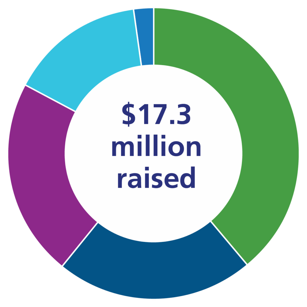 A pie chart