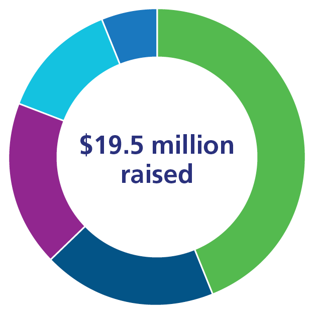 A pie chart
