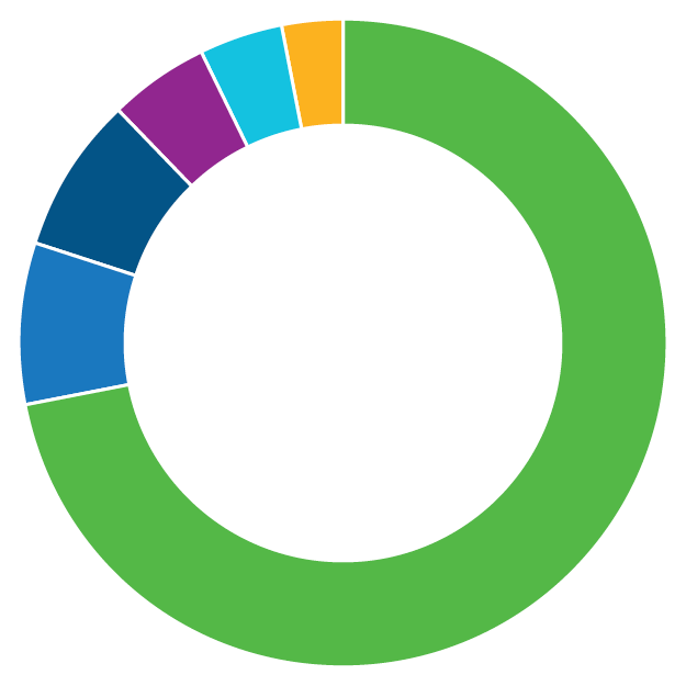 A pie chart